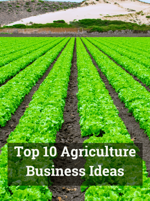 Top 10 Agriculture Business Ideas