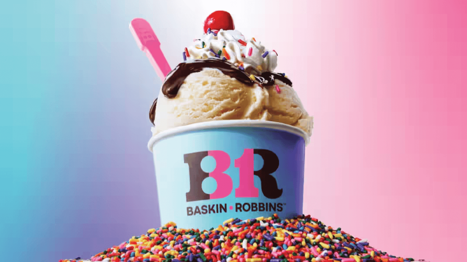 Baskin Robbins Franchise